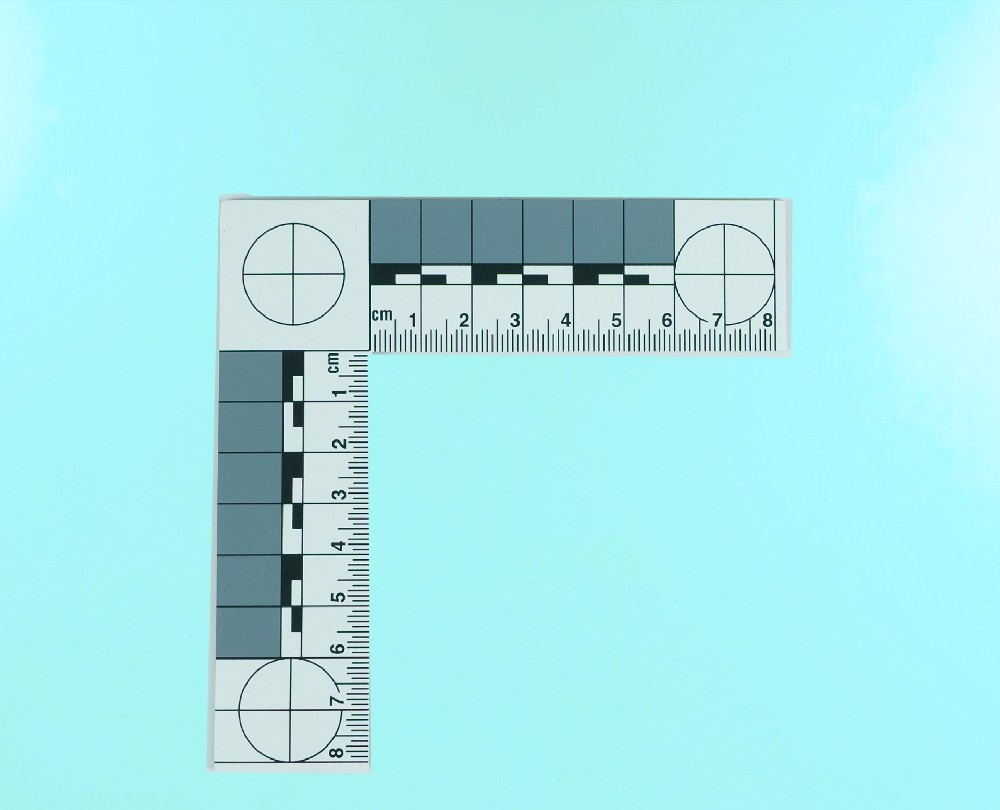 6775392.jpg
