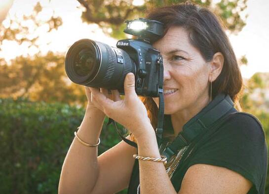 13262391.jpg